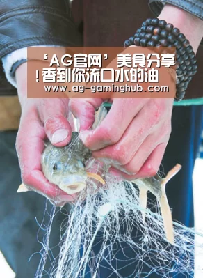 ‘AG官网’美食分享!香到你流口水的油泼面,烧椒皮蛋,五花肉炖春笋的做法(图3) AG百家乐