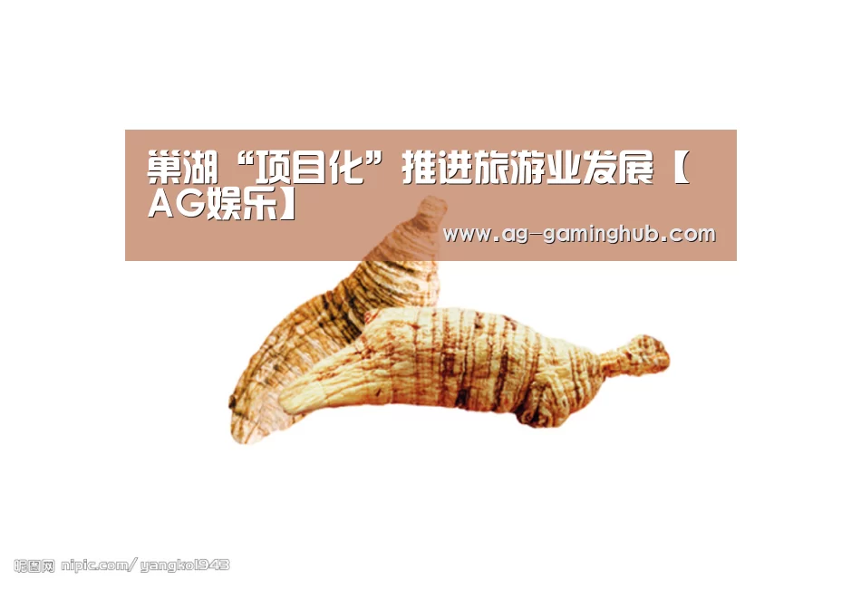 巢湖“项目化”推进旅游业发展【AG娱乐】(图1) AG百家乐