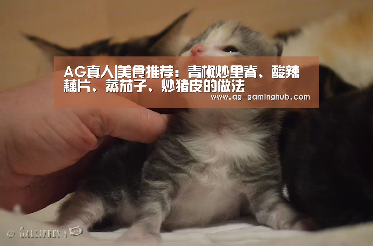 AG官网