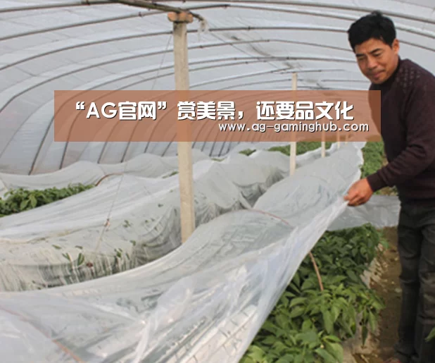 “AG官网”赏美景,还要品文化(图2) AG真人