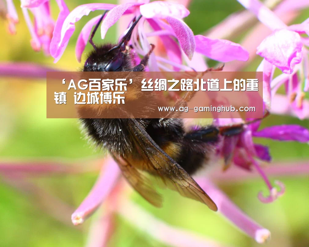 ‘AG百家乐’丝绸之路北道上的重镇 边城博乐(图1) AG真人