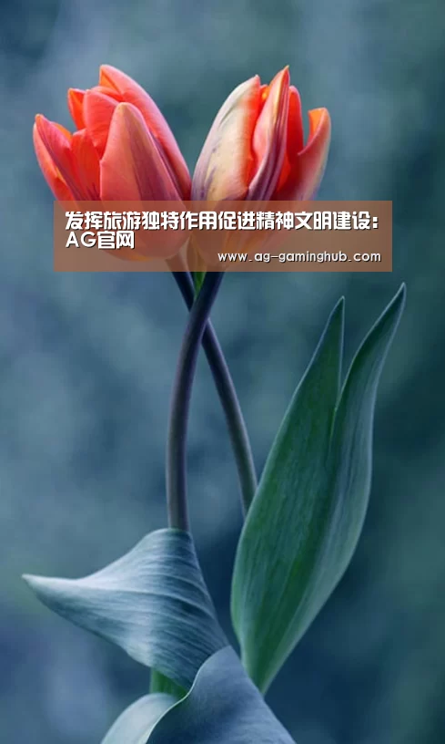 发挥旅游独特作用促进精神文明建设:AG官网(图2) AG官网