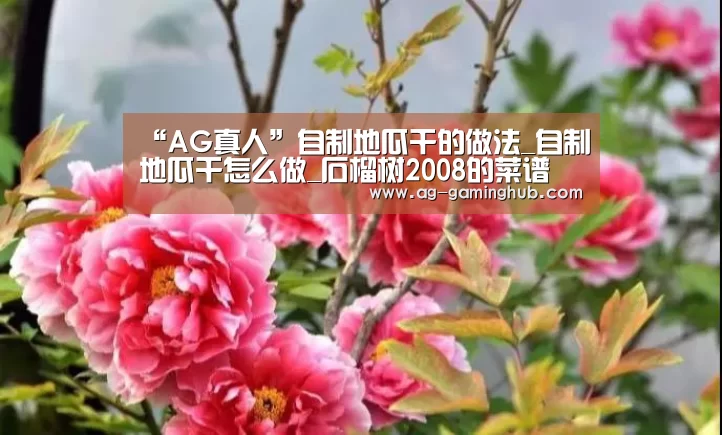 “AG真人”自制地瓜干的做法_自制地瓜干怎么做_石榴树2008的菜谱(图4) AG真人