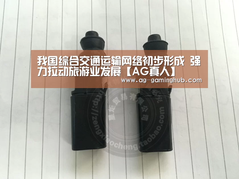 我国综合交通运输网络初步形成 强力拉动旅游业发展【AG真人】(图2) AG真人