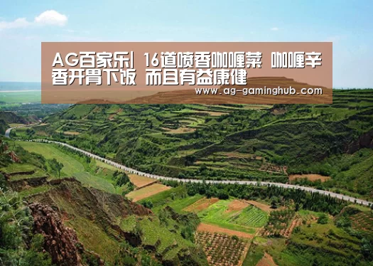 AG百家乐