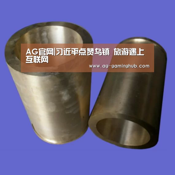 AG官网|习近平点赞乌镇 旅游遇上互联网(图2) AG真人