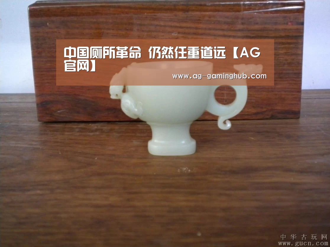 中国厕所革命 仍然任重道远【AG官网】(图1) AG官网