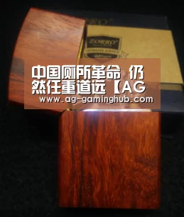 中国厕所革命 仍然任重道远【AG官网】(图2) AG百家乐
