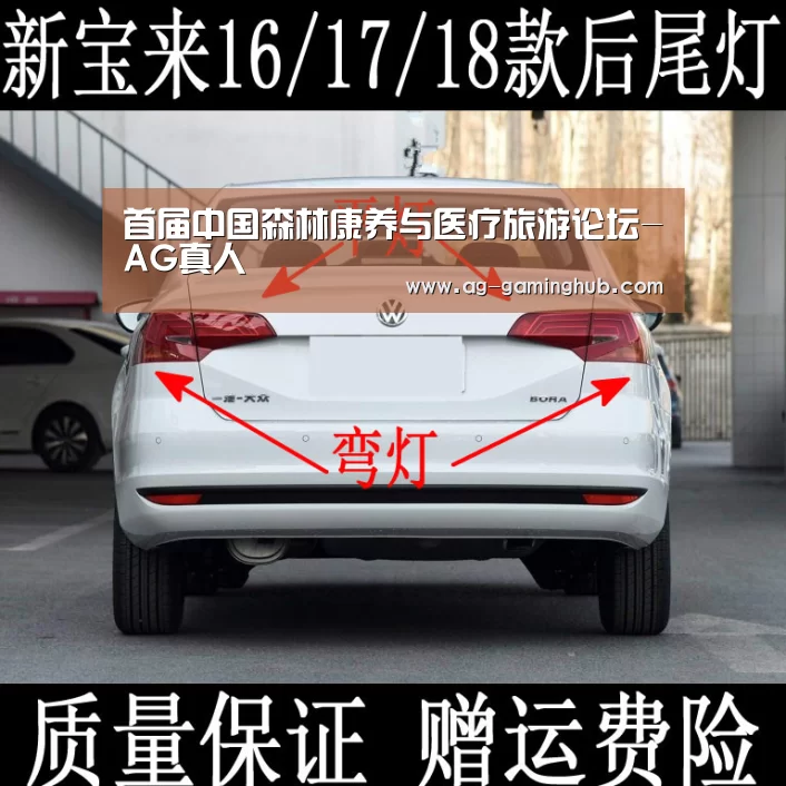 AG真人